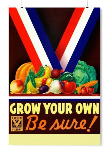 Ww2 victory garden poster - garden,
